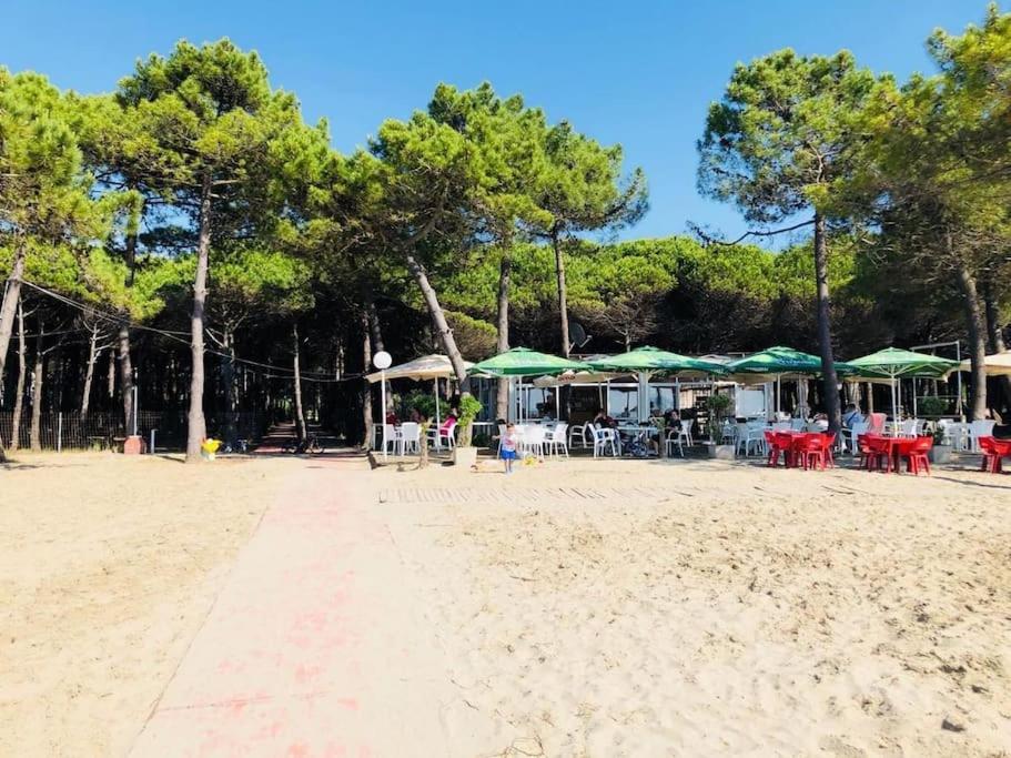 Appartement Pine Tree App 150m By Beach!